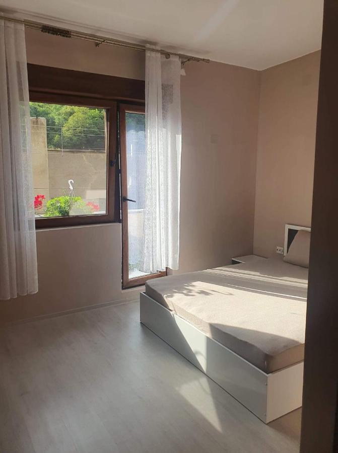 Casa Simionov Daire Băile Herculane Dış mekan fotoğraf